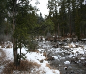 Thanksgiving 2008 384